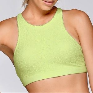 Lorna Jane Limited Edition Cindy Sports Bra